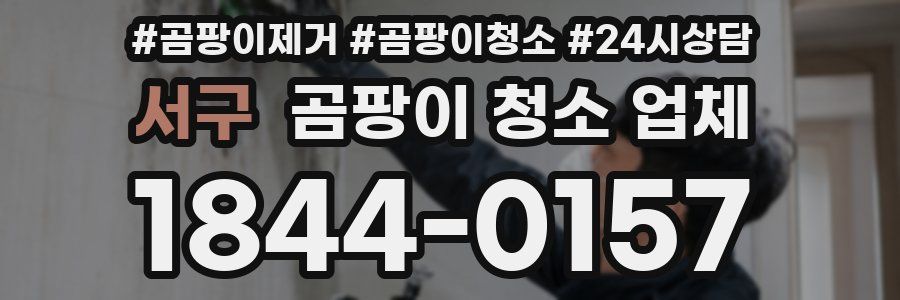 서구 곰팡이 청소 업체