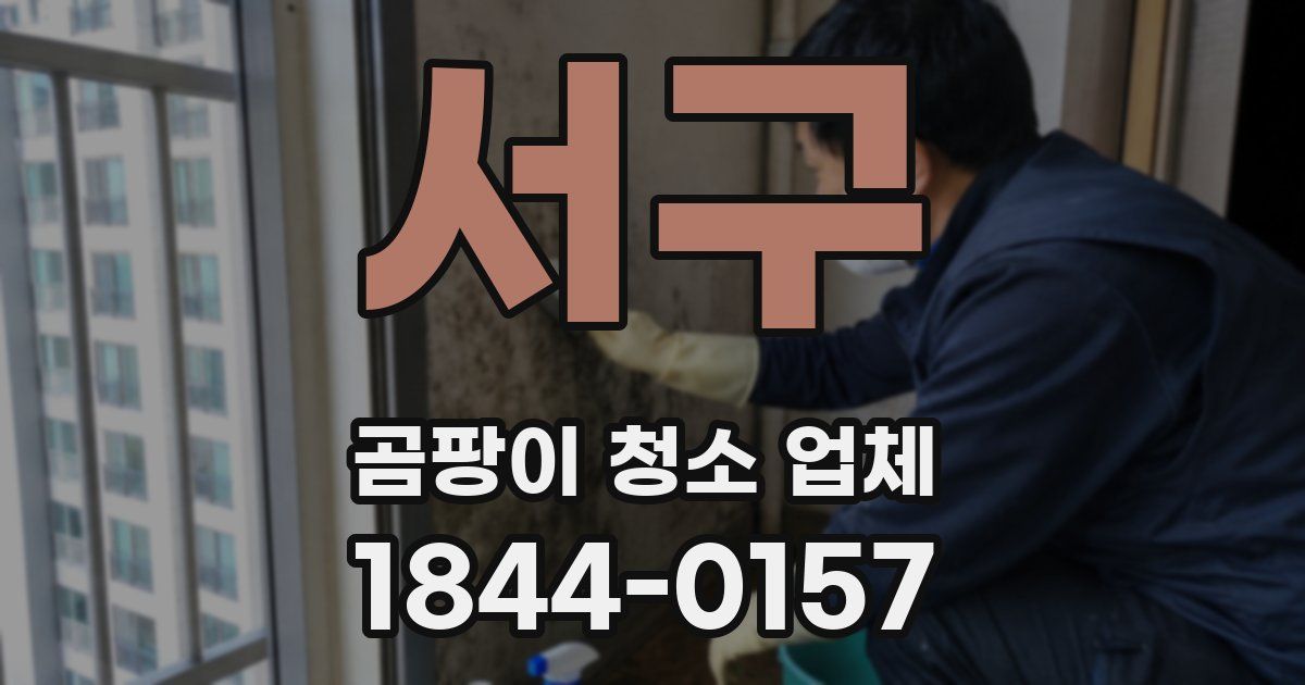 서구 곰팡이 청소 업체