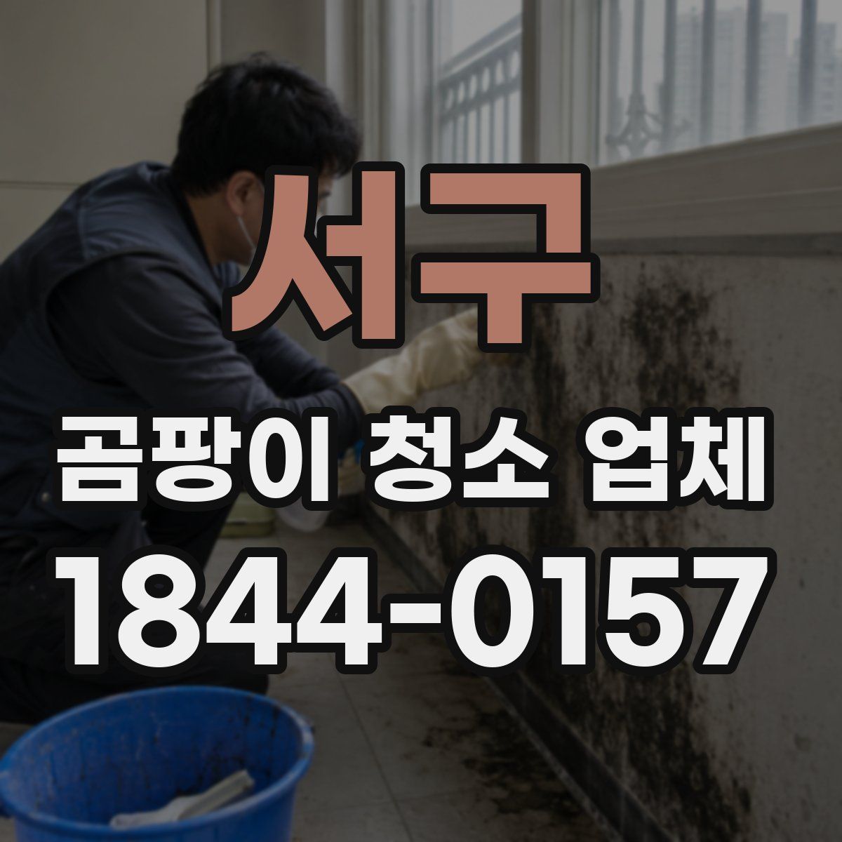 서구 곰팡이 청소 업체