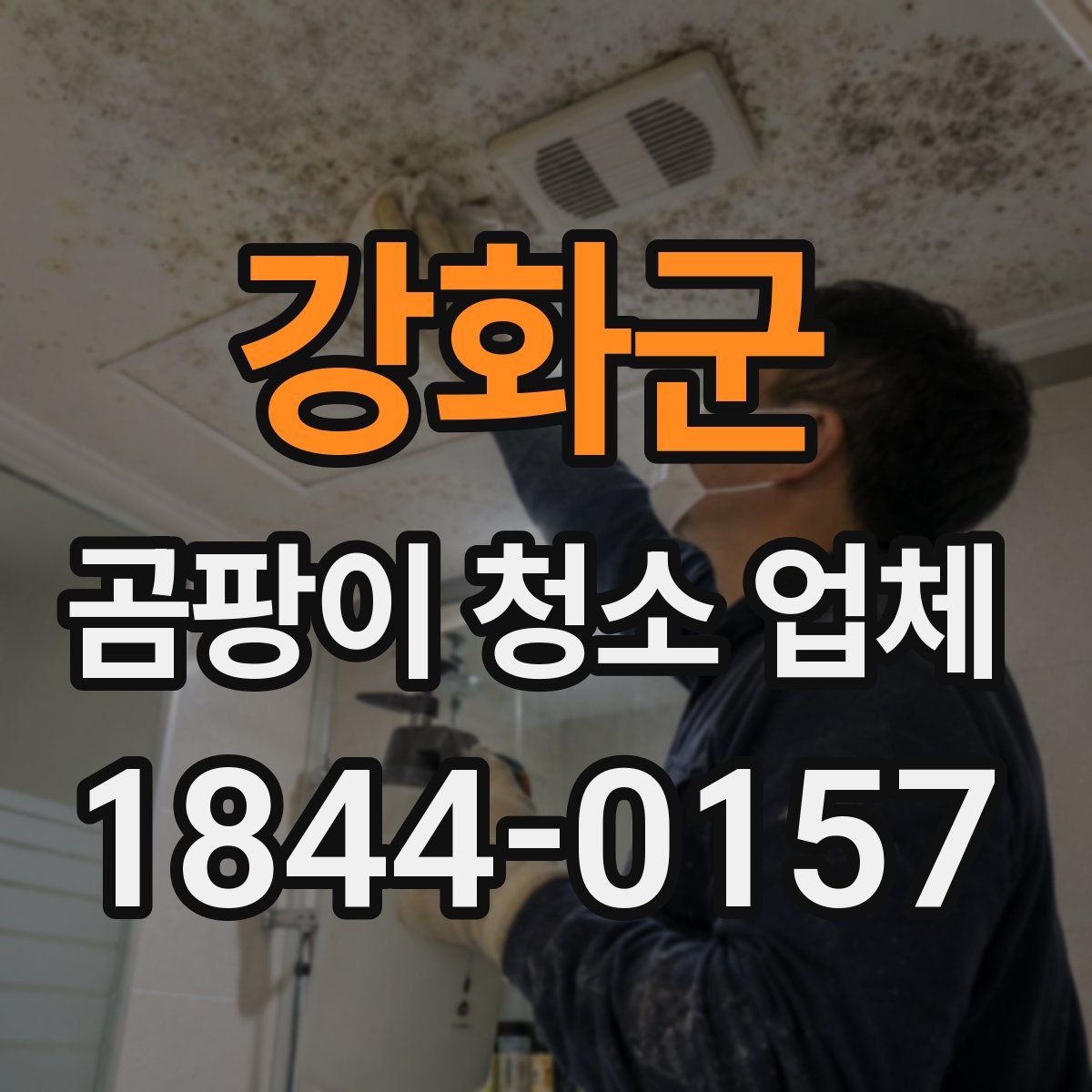 강화군 곰팡이 청소 업체