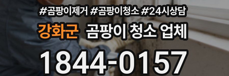 강화군 곰팡이 청소 업체