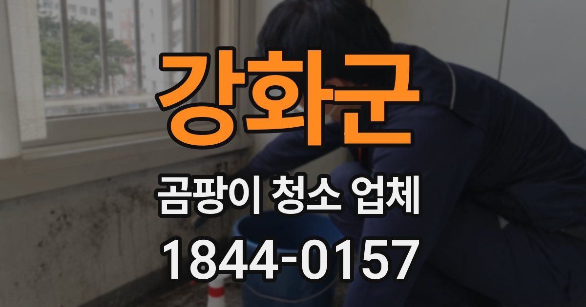 강화군 곰팡이 청소 업체