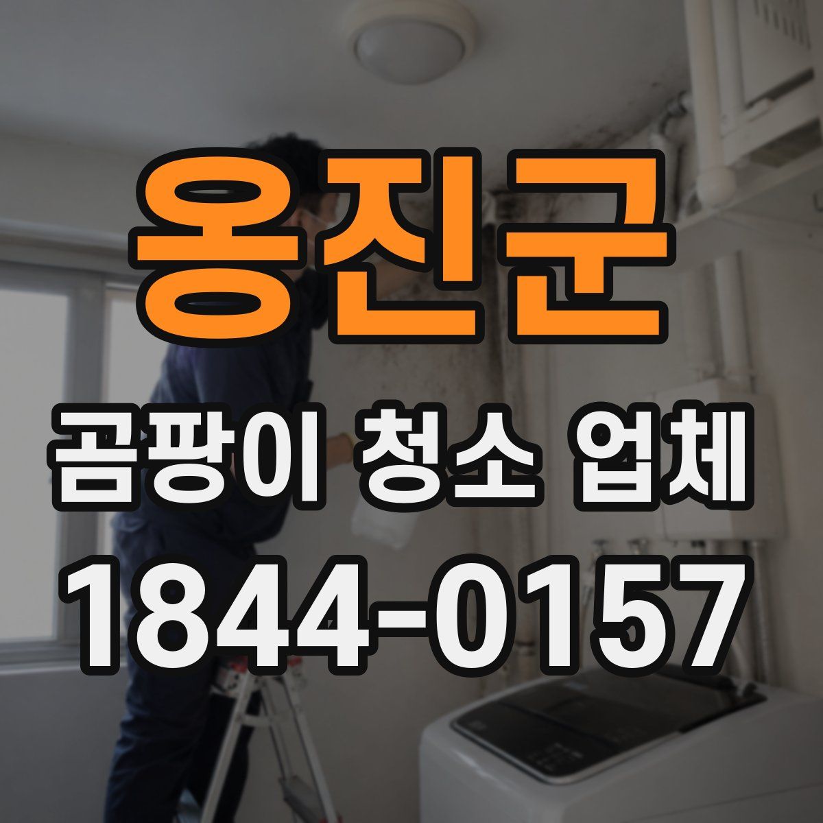 옹진군 곰팡이 청소 업체