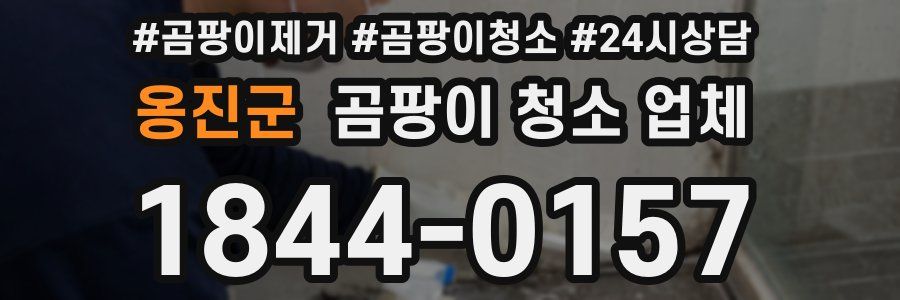 옹진군 곰팡이 청소 업체