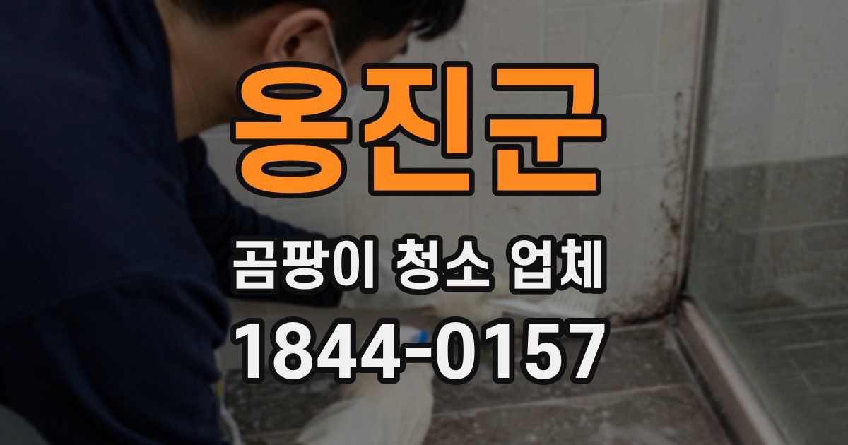 옹진군 곰팡이 청소 업체