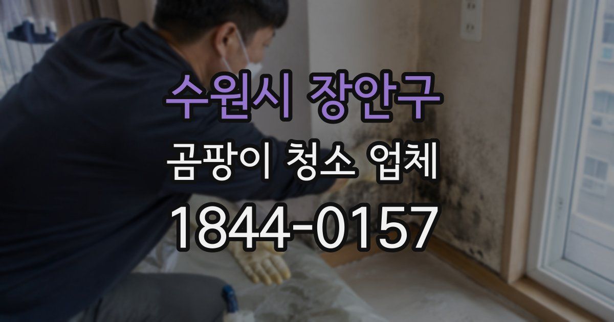 수원시 장안구 곰팡이 청소 업체