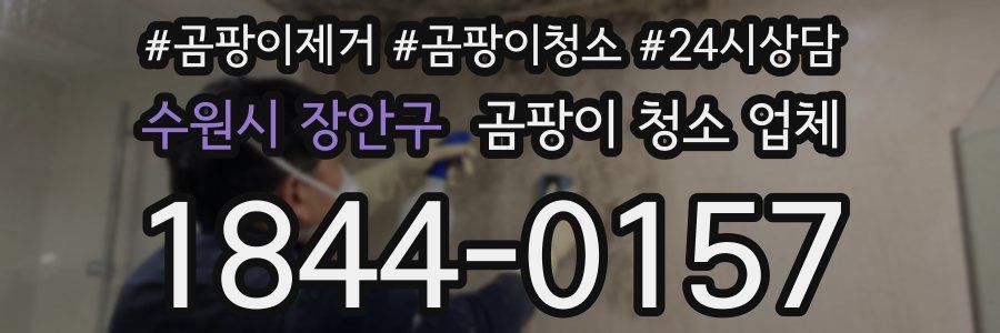 수원시 장안구 곰팡이 청소 업체