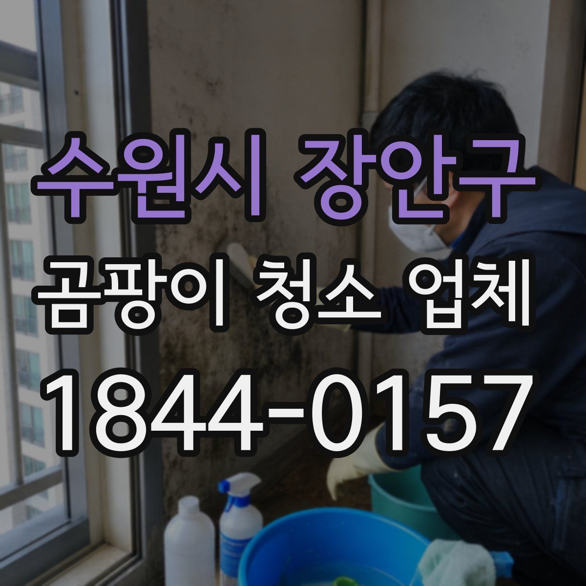 수원시 장안구 곰팡이 청소 업체