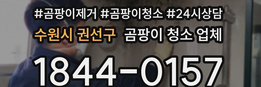 수원시 권선구 곰팡이 청소 업체
