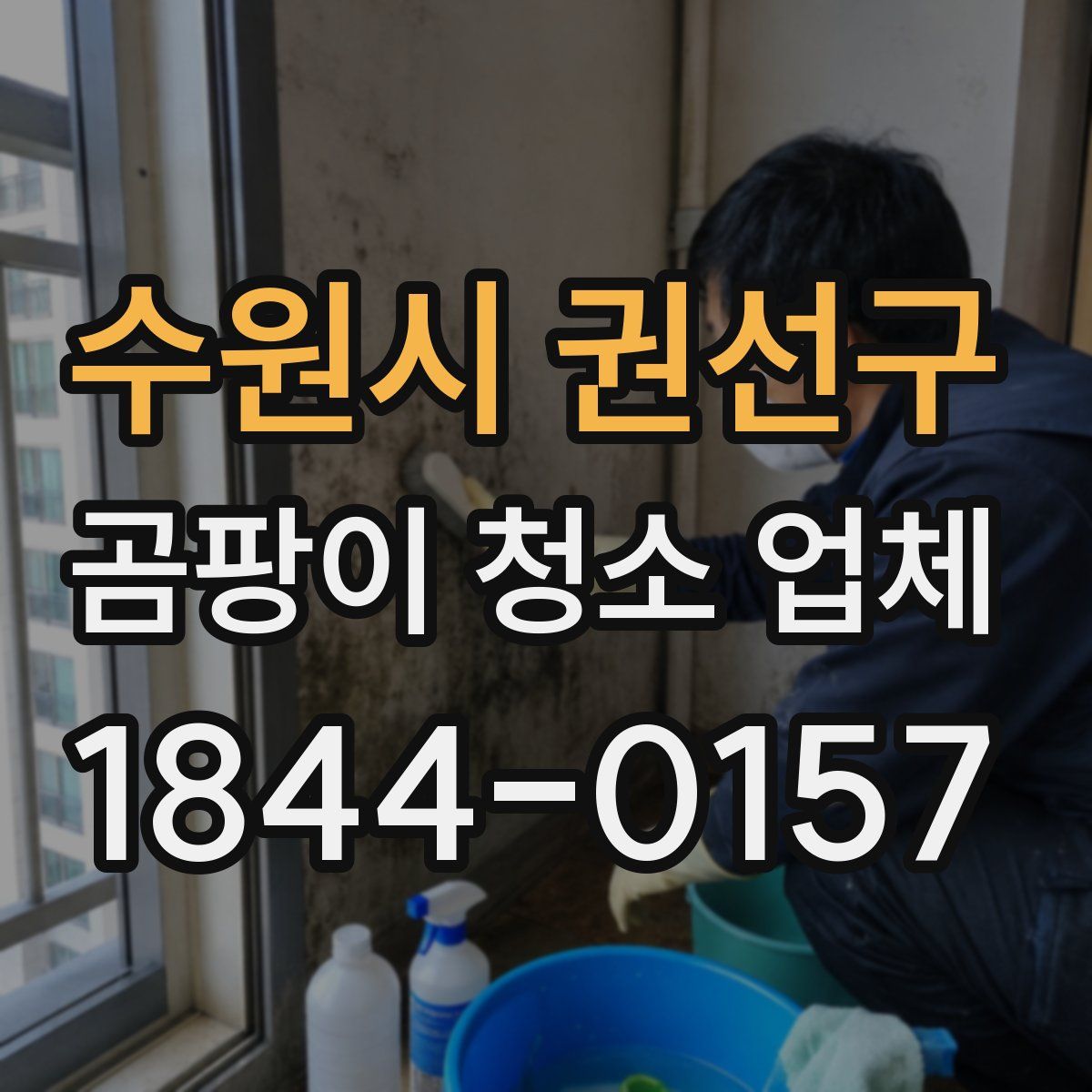 수원시 권선구 곰팡이 청소 업체