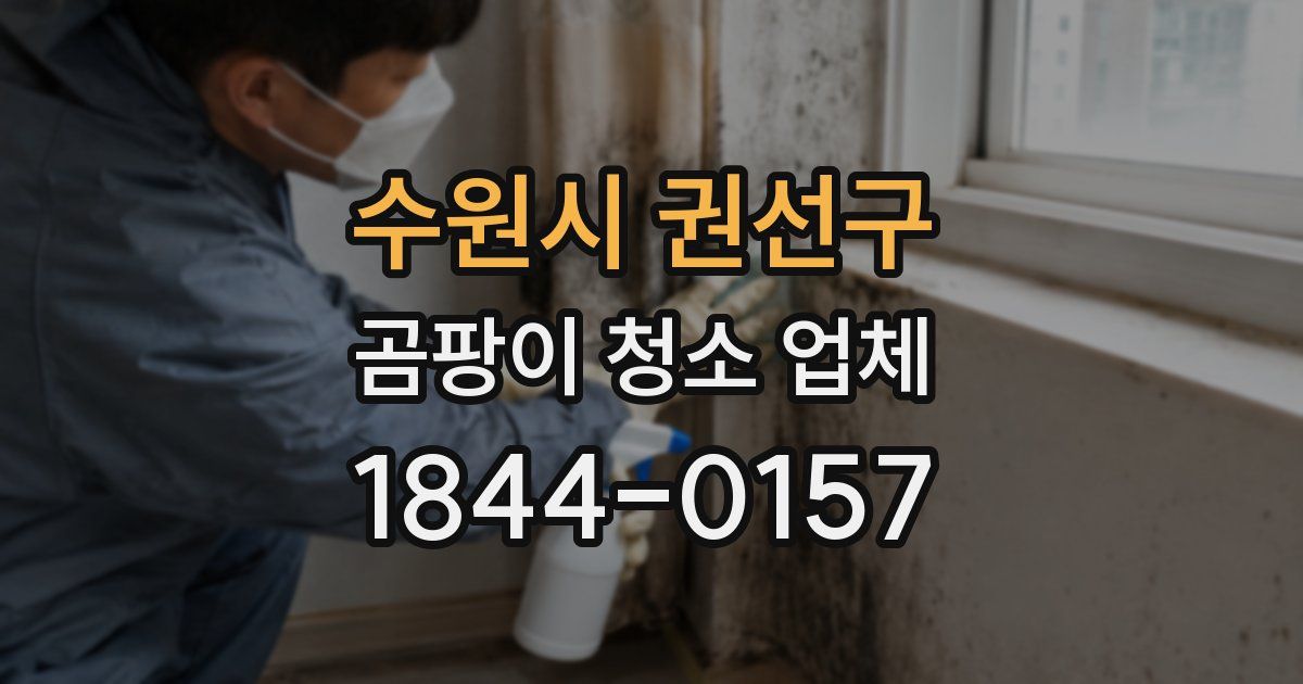 수원시 권선구 곰팡이 청소 업체
