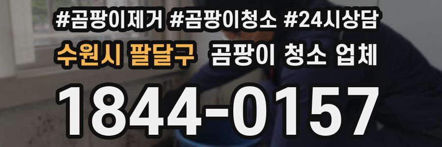 수원시 팔달구 곰팡이 청소 업체