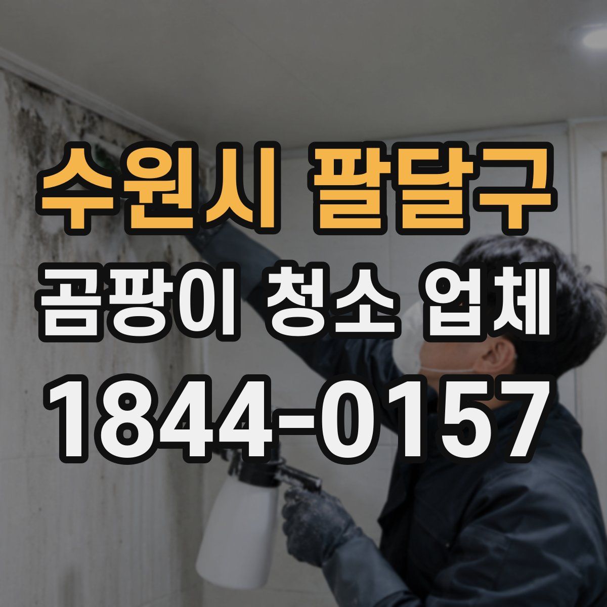 수원시 팔달구 곰팡이 청소 업체