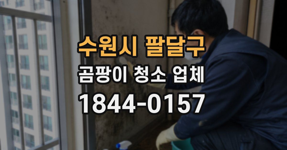 수원시 팔달구 곰팡이 청소 업체
