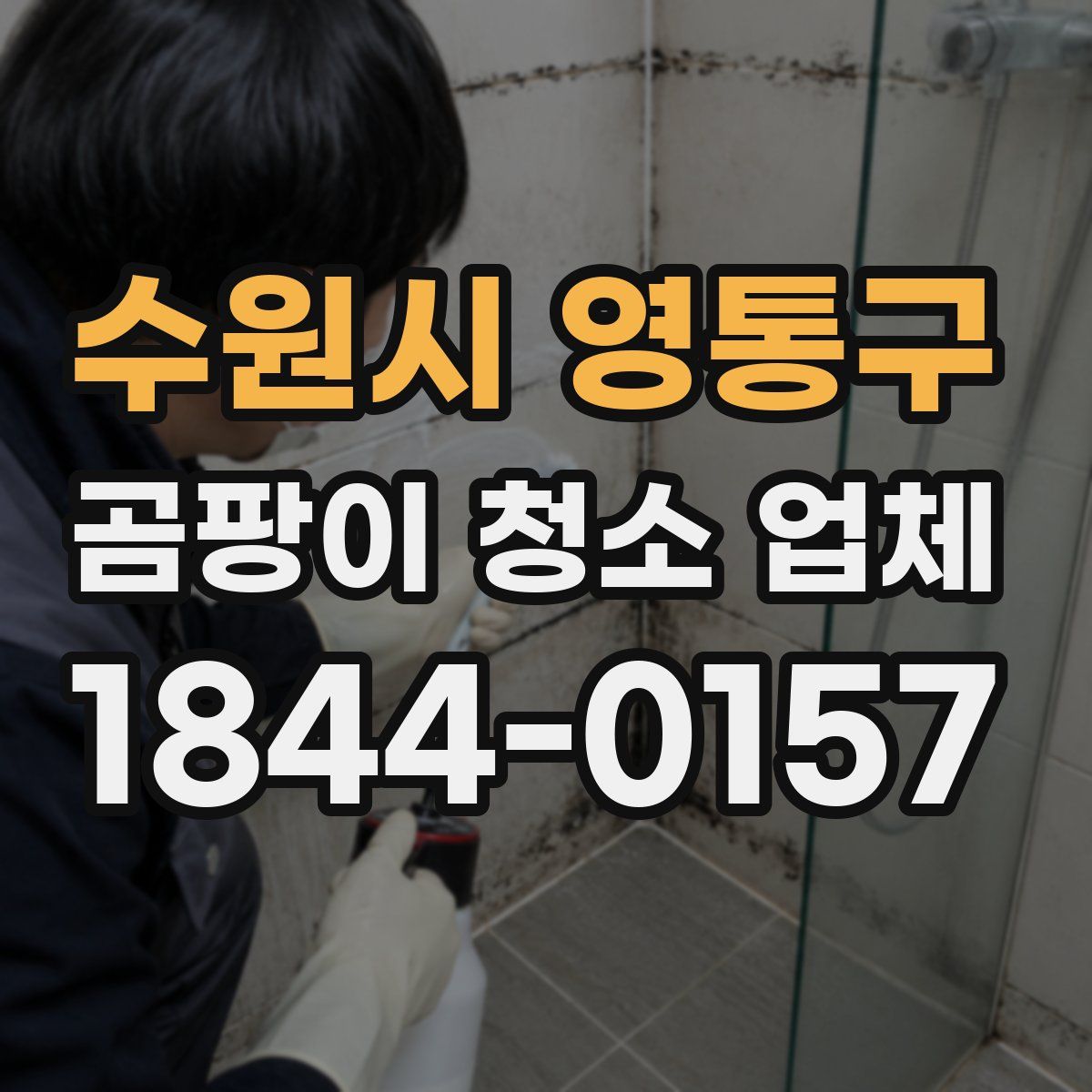 수원시 영통구 곰팡이 청소 업체