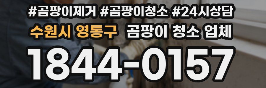 수원시 영통구 곰팡이 청소 업체