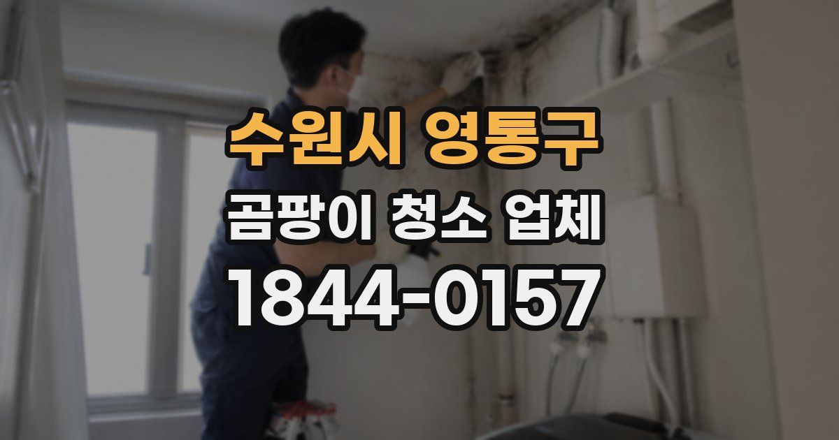 수원시 영통구 곰팡이 청소 업체
