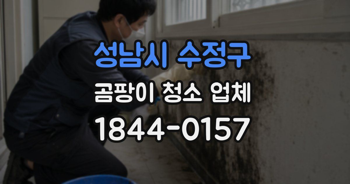 성남시 수정구 곰팡이 청소 업체