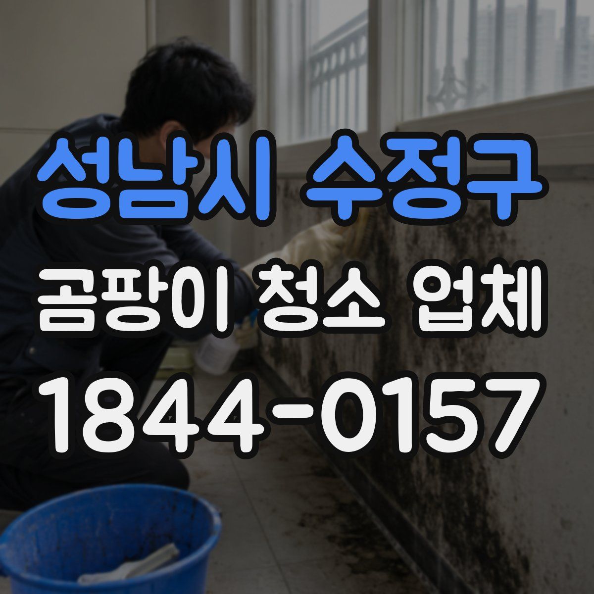 성남시 수정구 곰팡이 청소 업체
