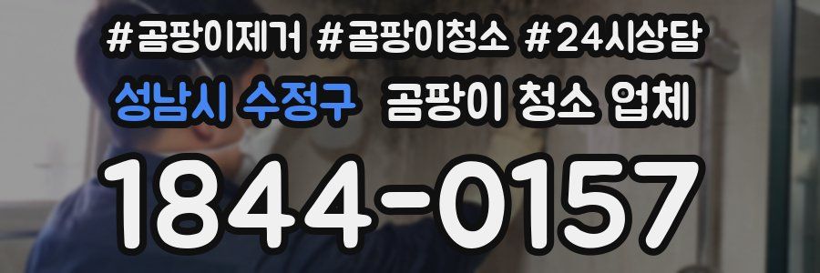 성남시 수정구 곰팡이 청소 업체