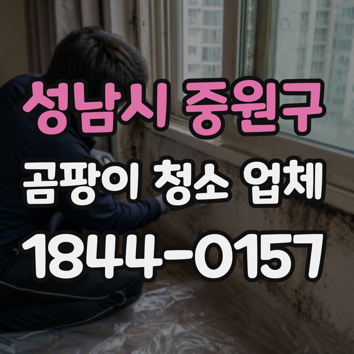 성남시 중원구 곰팡이 청소 업체