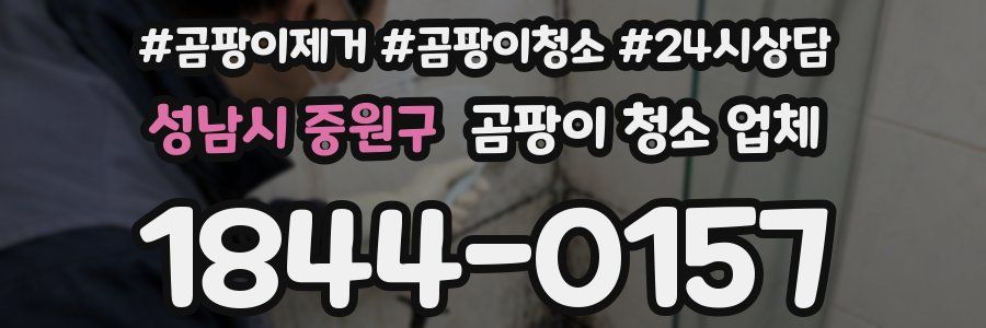 성남시 중원구 곰팡이 청소 업체