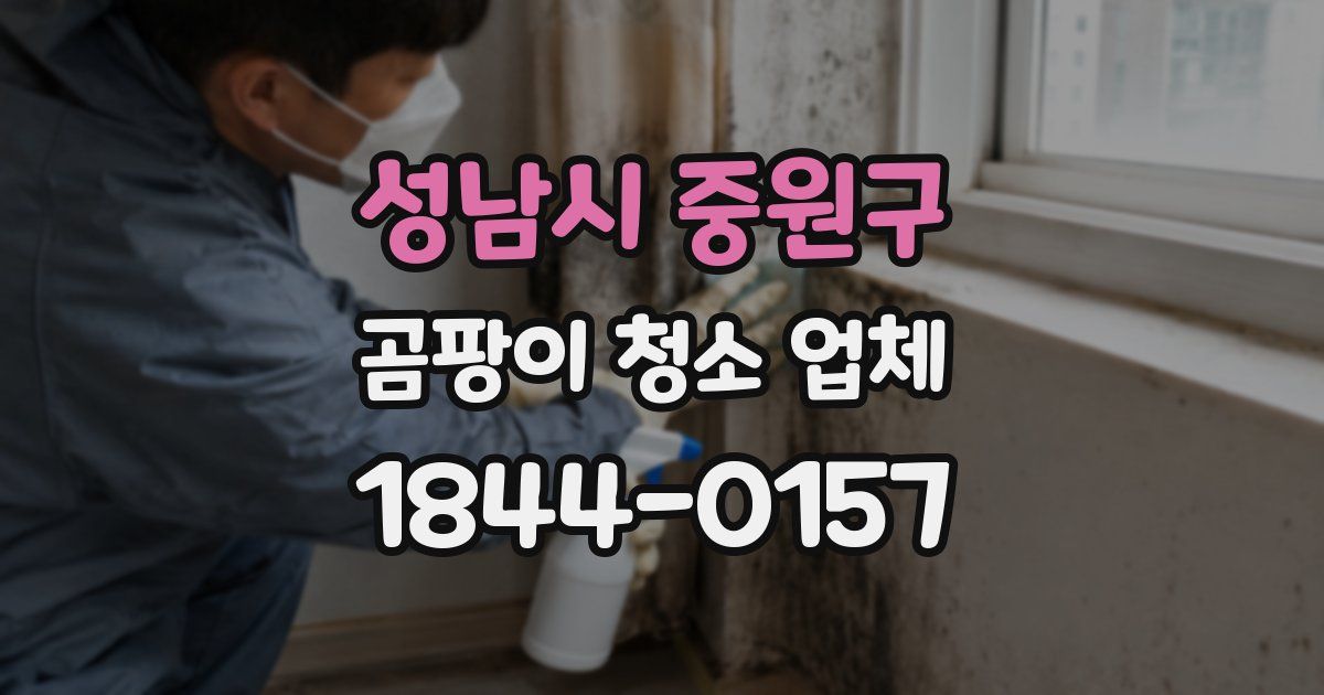 성남시 중원구 곰팡이 청소 업체
