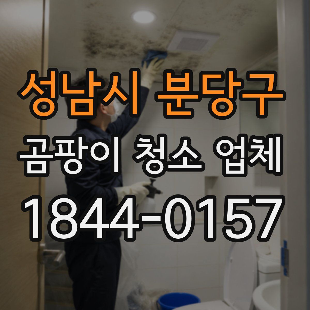 성남시 분당구 곰팡이 청소 업체