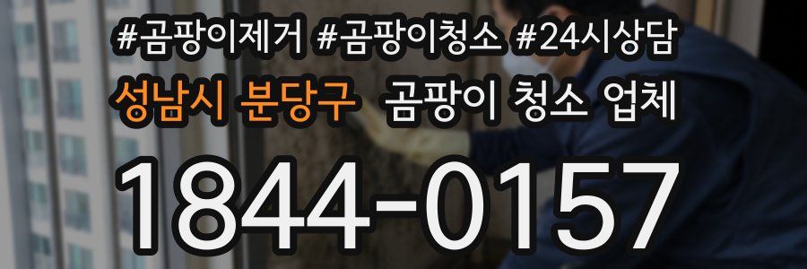 성남시 분당구 곰팡이 청소 업체