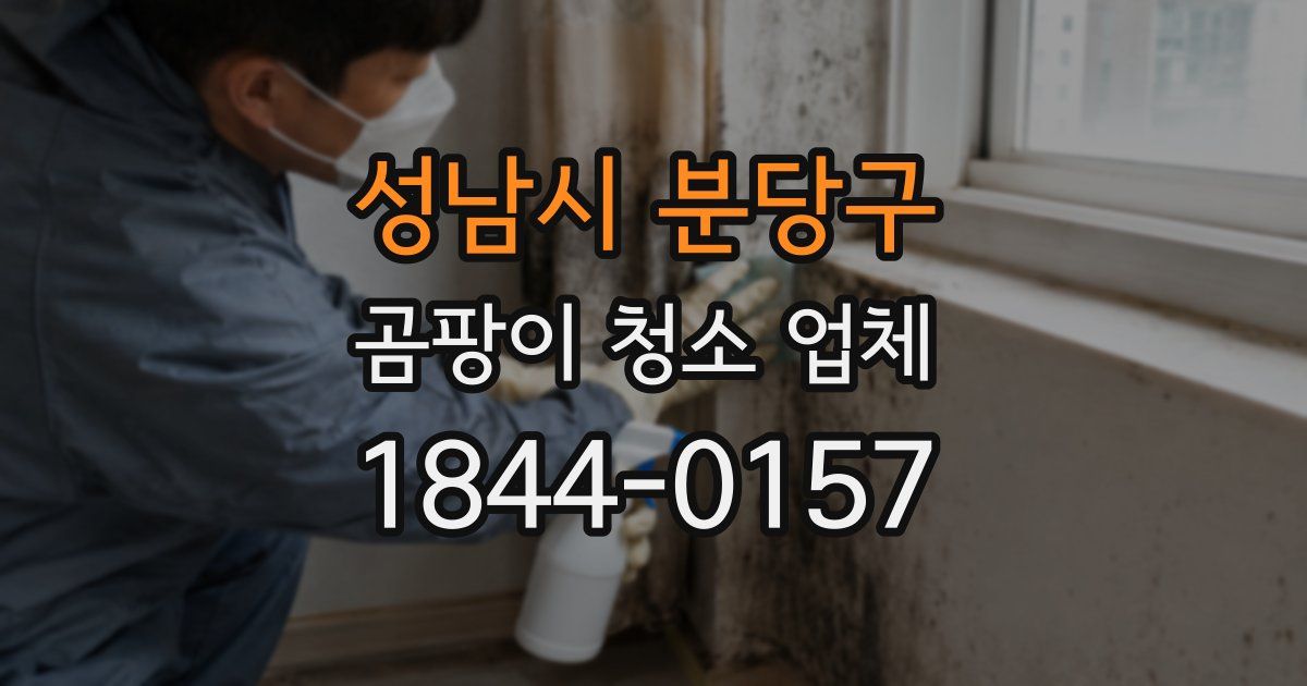 성남시 분당구 곰팡이 청소 업체