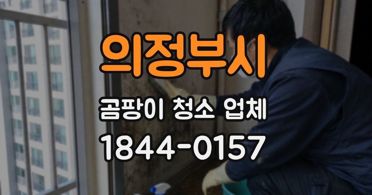 의정부시 곰팡이 청소 업체