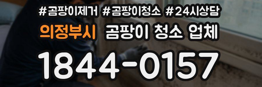 의정부시 곰팡이 청소 업체