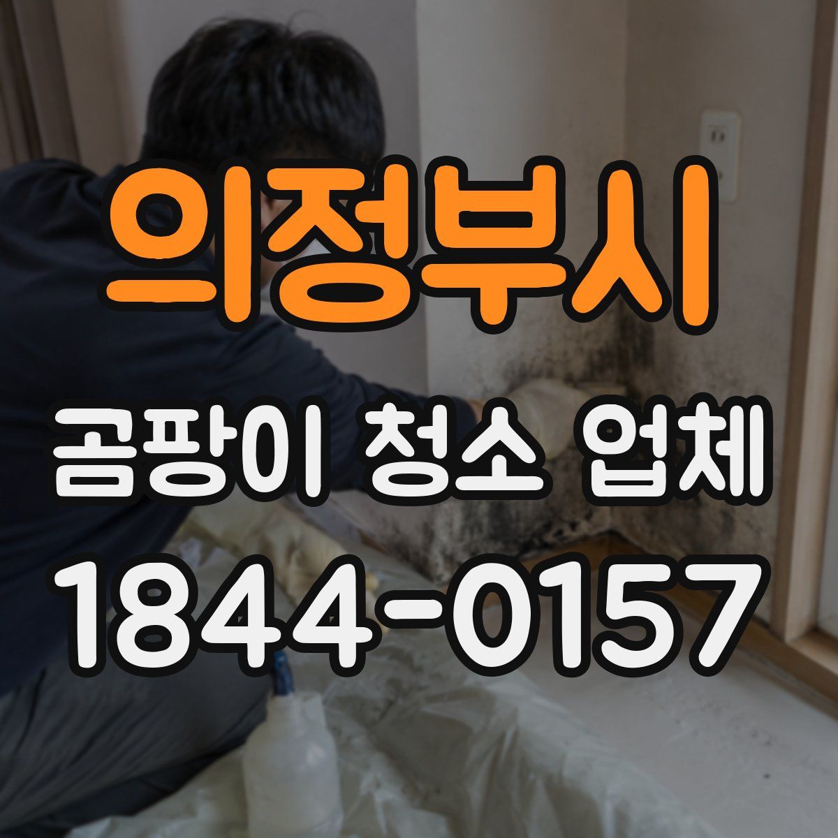 의정부시 곰팡이 청소 업체