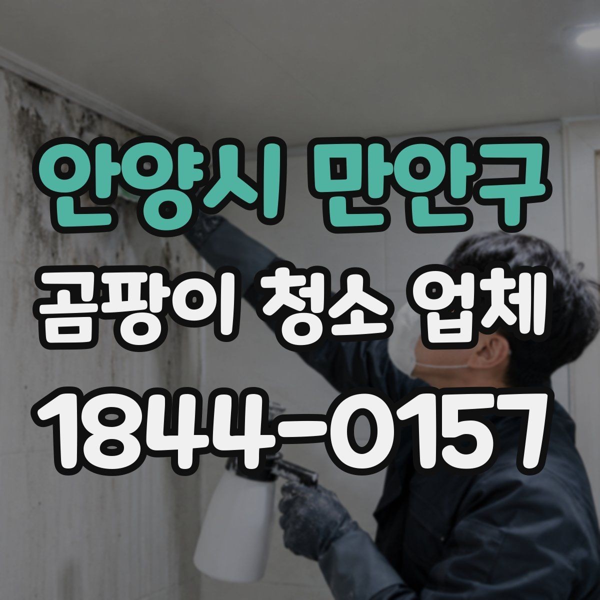 안양시 만안구 곰팡이 청소 업체 반려동물 생활공간의 위생 관리 포인트