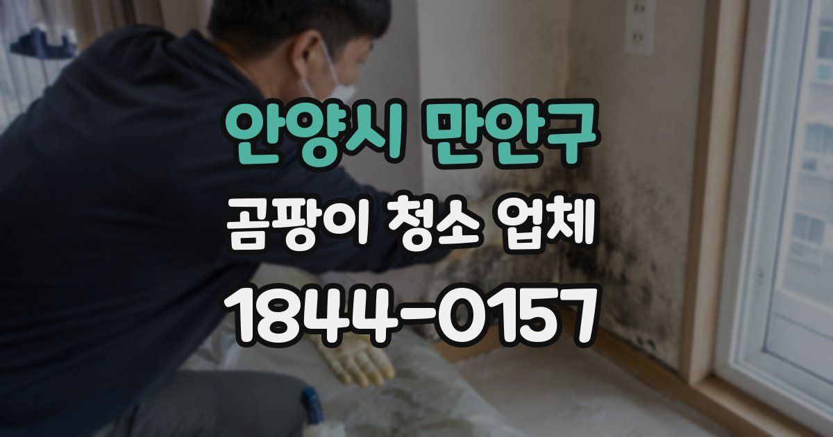안양시 만안구 곰팡이 청소 업체