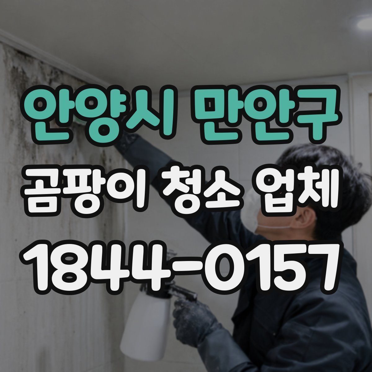 안양시 만안구 곰팡이 청소 업체