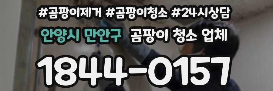 안양시 만안구 곰팡이 청소 업체