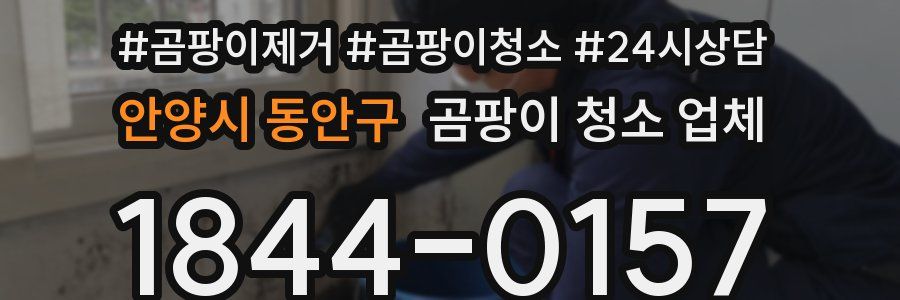 안양시 동안구 곰팡이 청소 업체