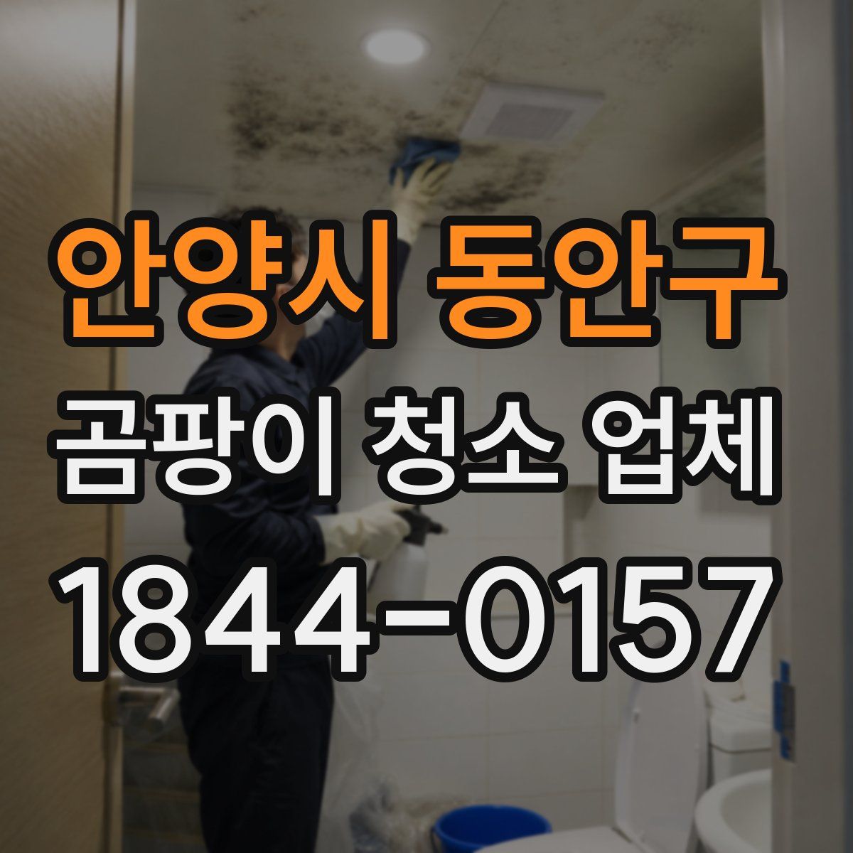 안양시 동안구 곰팡이 청소 업체