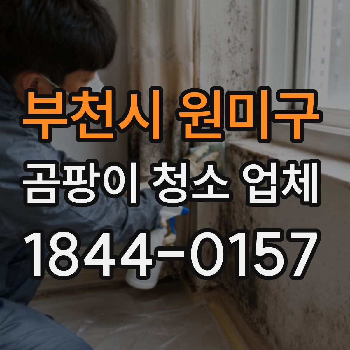 부천시 원미구 곰팡이 청소 업체