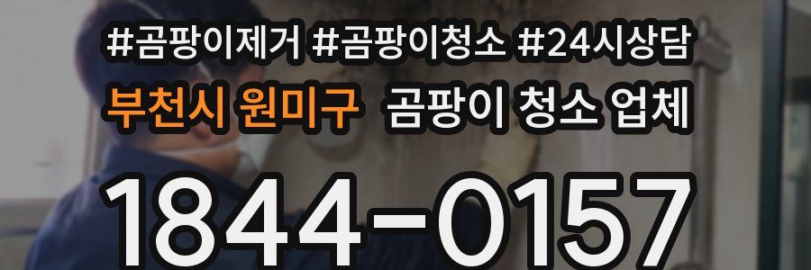부천시 원미구 곰팡이 청소 업체
