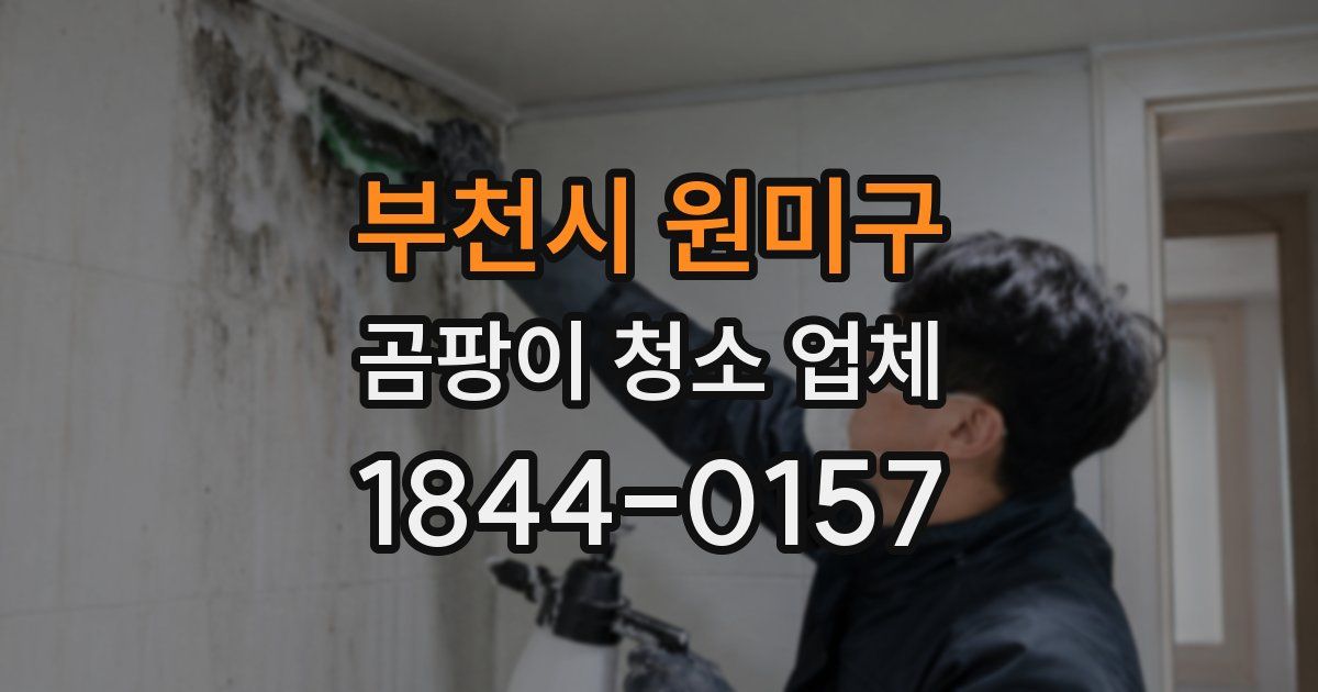 부천시 원미구 곰팡이 청소 업체