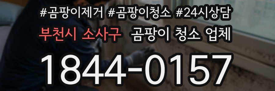 부천시 소사구 곰팡이 청소 업체