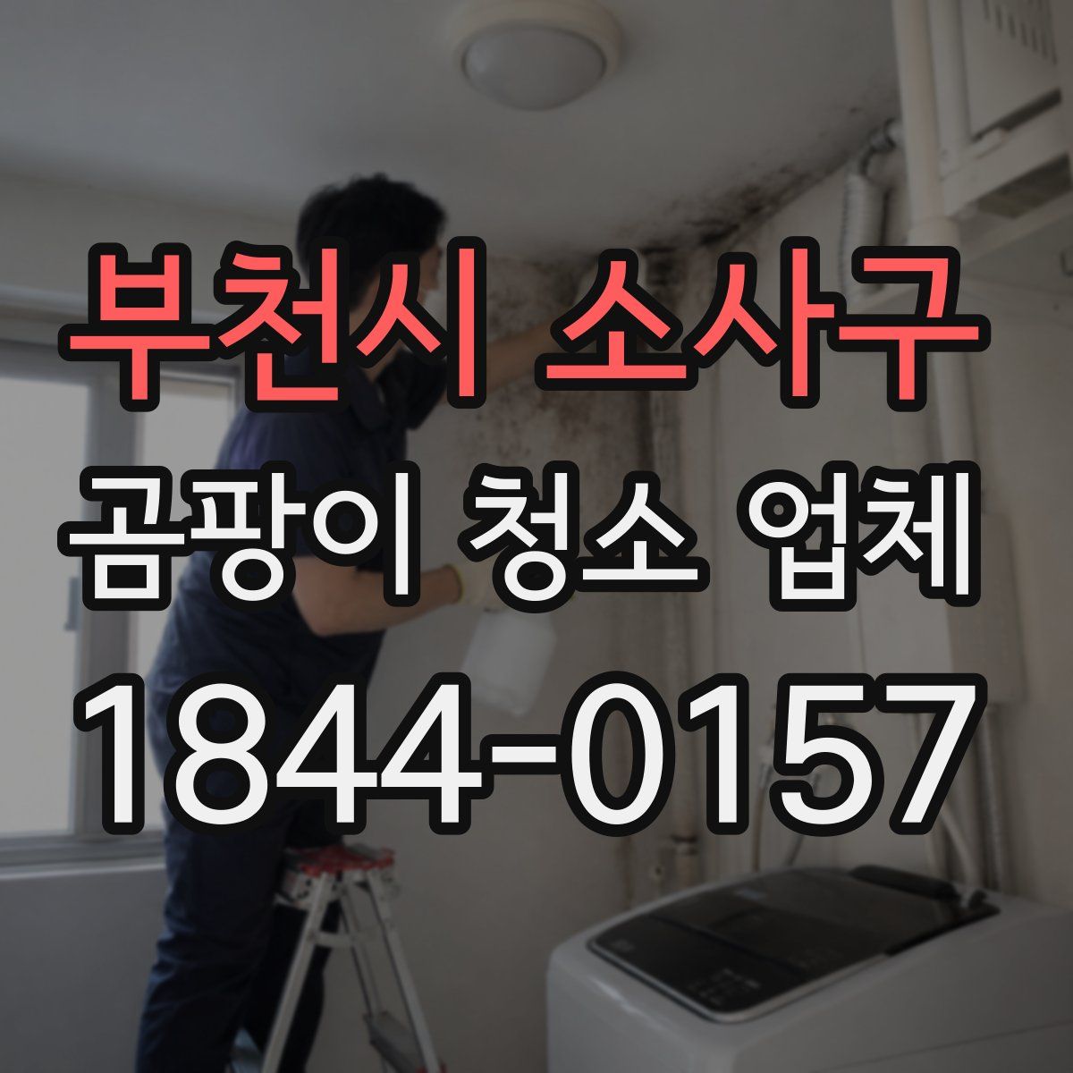 부천시 소사구 곰팡이 청소 업체