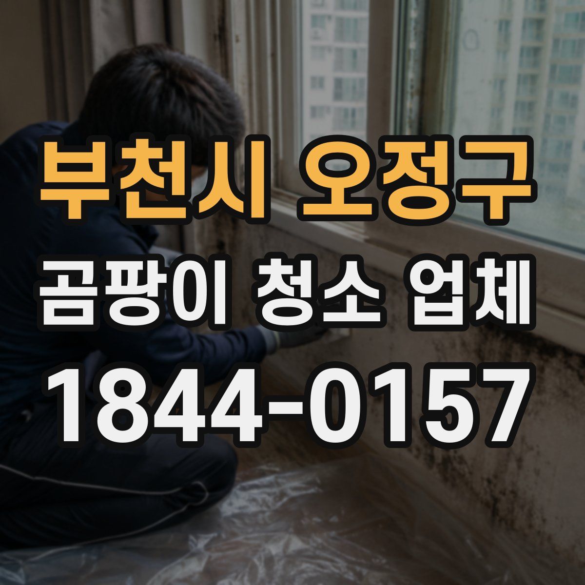 부천시 오정구 곰팡이 청소 업체