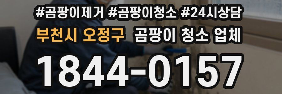부천시 오정구 곰팡이 청소 업체