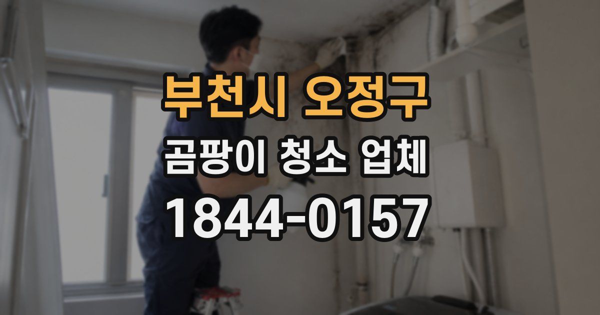 부천시 오정구 곰팡이 청소 업체