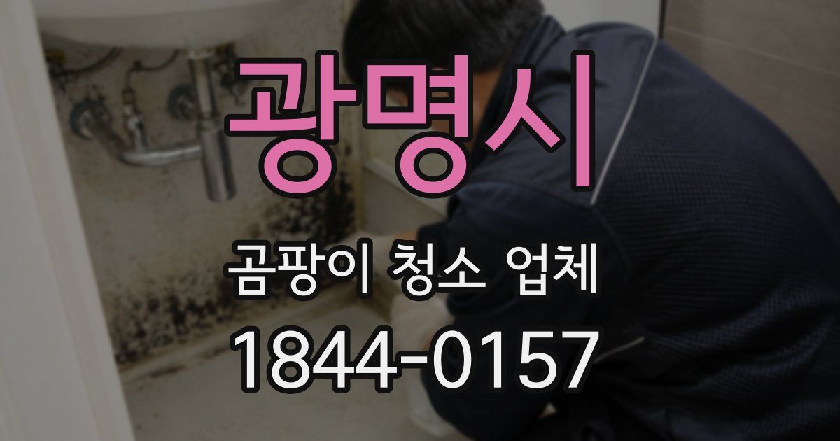 광명시 곰팡이 청소 업체
