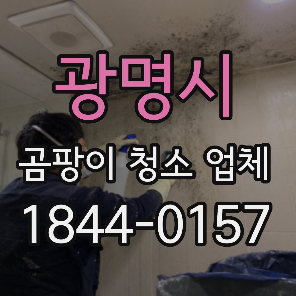 광명시 곰팡이 청소 업체