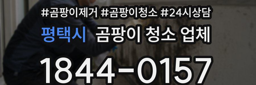 평택시 곰팡이 청소 업체